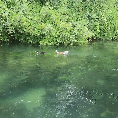 Robinson Crusoe * Čapljina